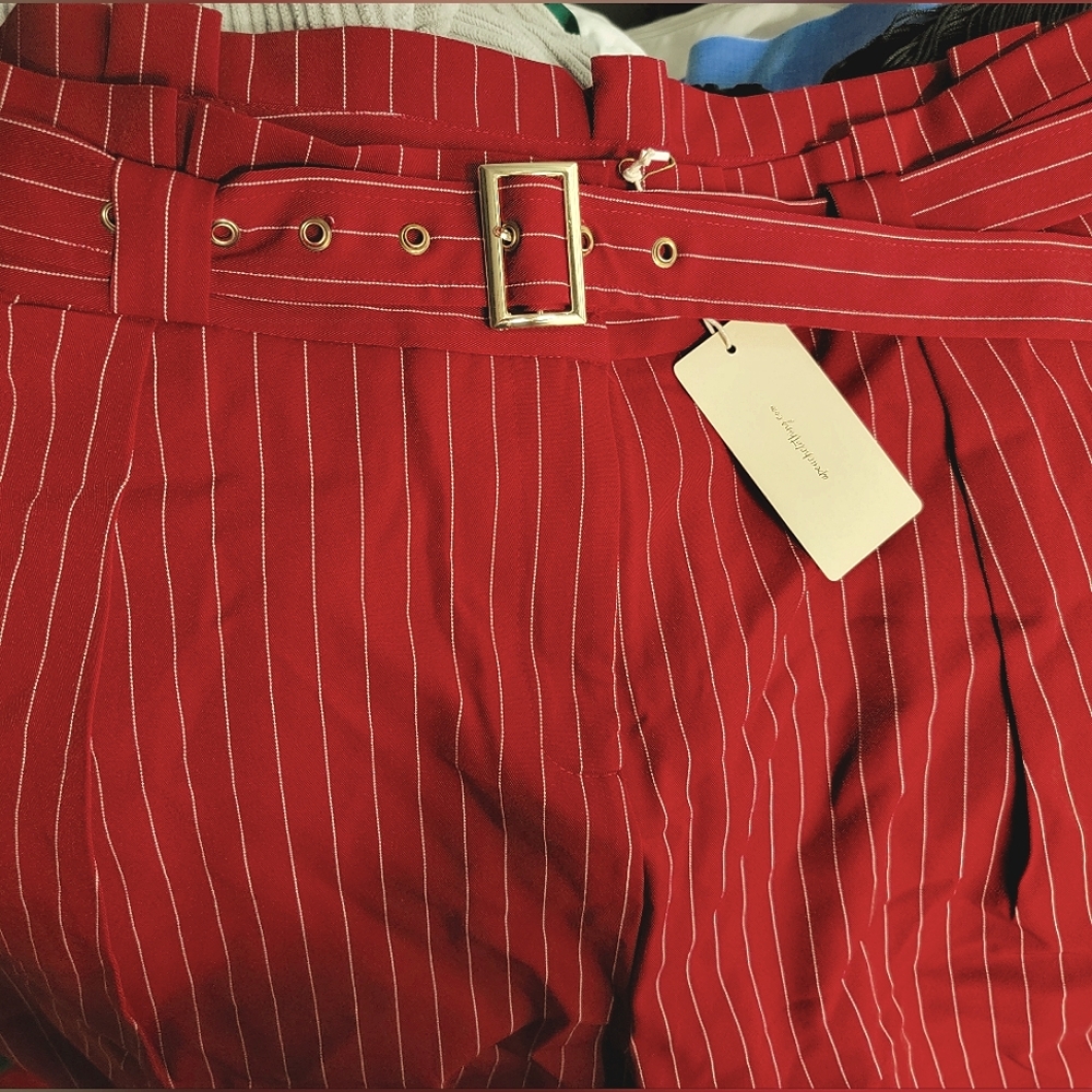 Red Pinstripe Pleated Pants + gold belt